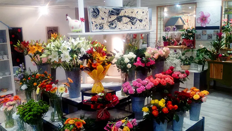 Les Fleurs et Vous