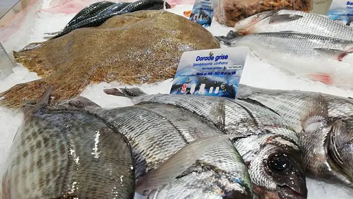 Les Poissons de Nicolas