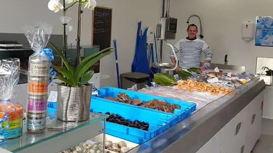 Les Poissons de Nicolas