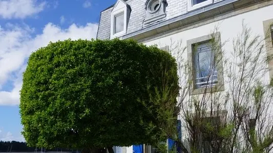 Locations La Maison au Fusain - Ile Tudy - Pays Bigouden - Bigoudenjoy