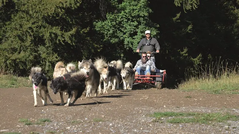 lounoocks 2-pouldreuzic