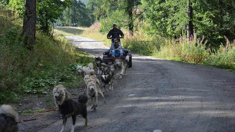 lounoocks 3-pouldreuzic