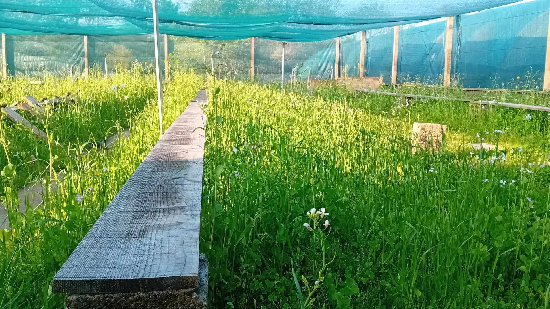 Le Maligorn Gourmand - Ferme Hélicicole