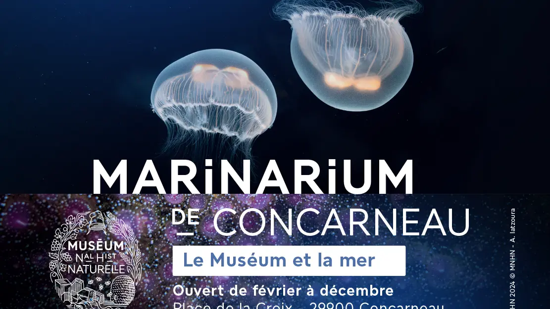 Marinarium - Aquarium à Concarneau - Aquariums Finistère Sud, Bretagne