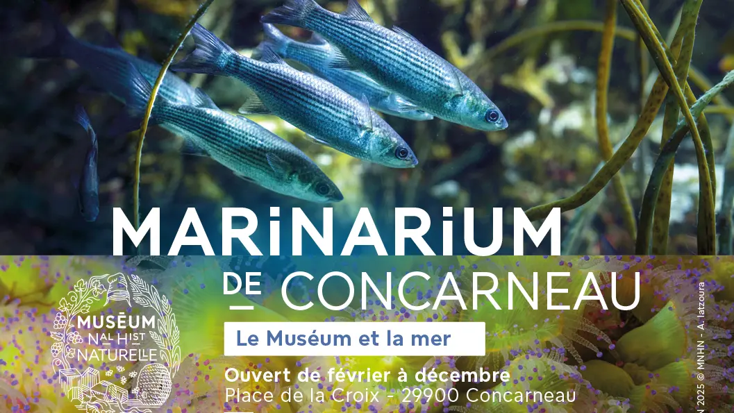 marinarium de Concarneau - Aquarium scientifique - Museum national d'histoire naturelle