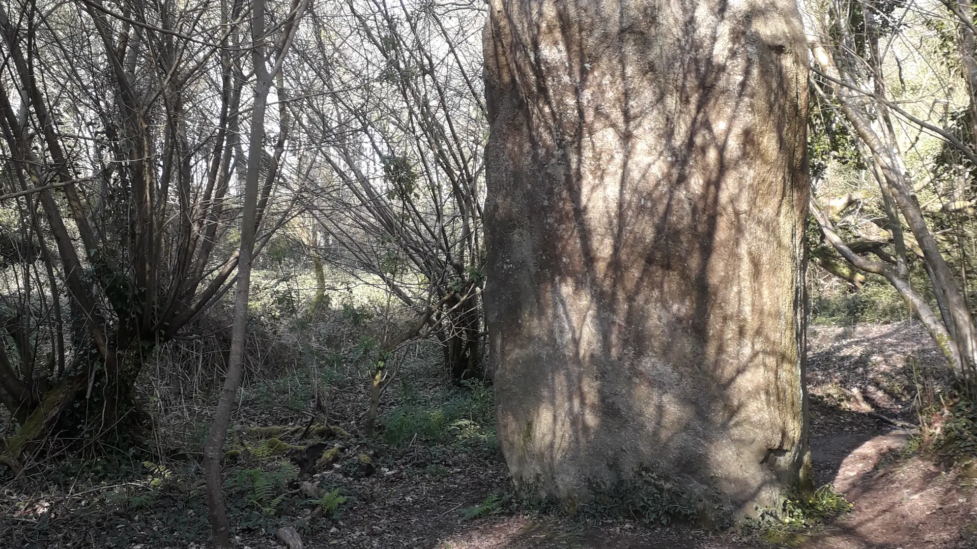 Menhir Kerglogué Pouldreuzic - Pays Bigouden