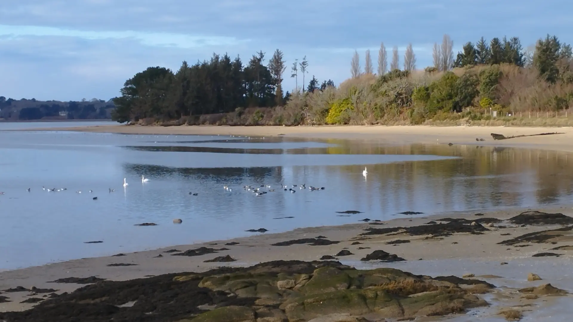 Ty Victorine - Combrit - Pays bigouden