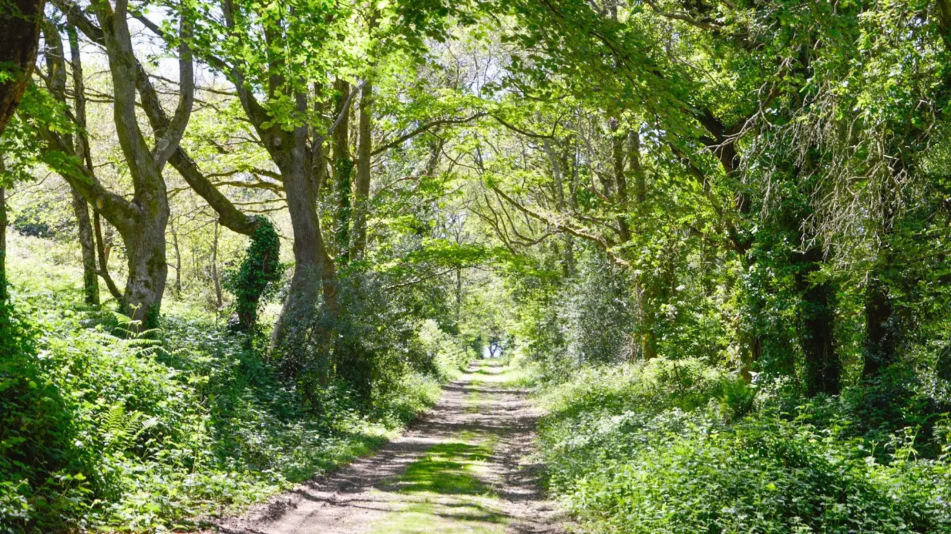 Balade de Stang Vraz - Guiler-sur-Goyen - Pays bigouden