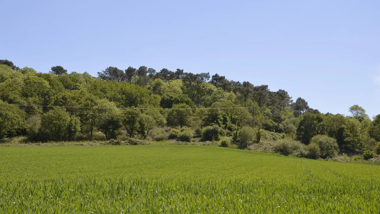 Balade de Stang Vraz - Guiler-sur-Goyen - Pays bigouden