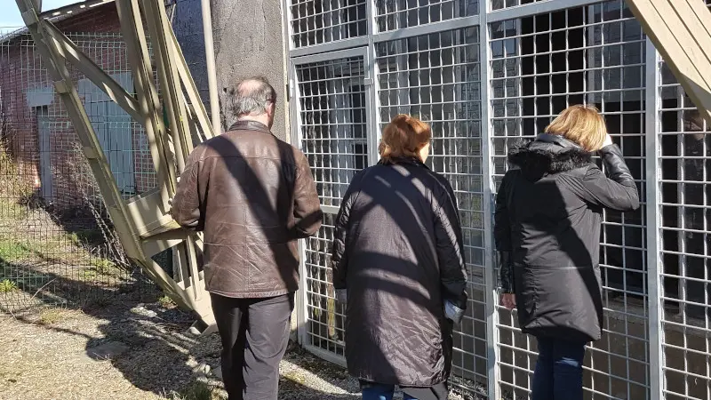 mines-montbelleux-luitre-2017©MROINSON (18)800x600