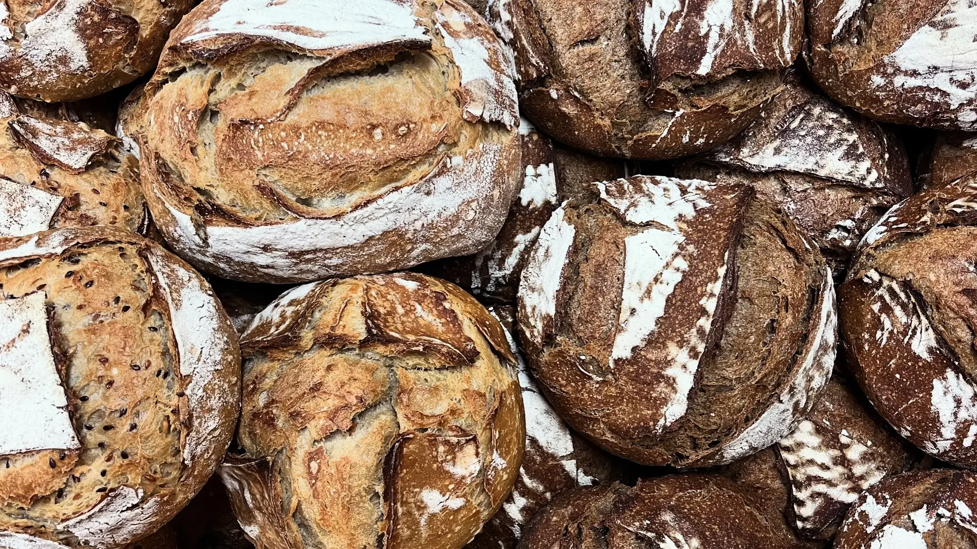 Pains au levain