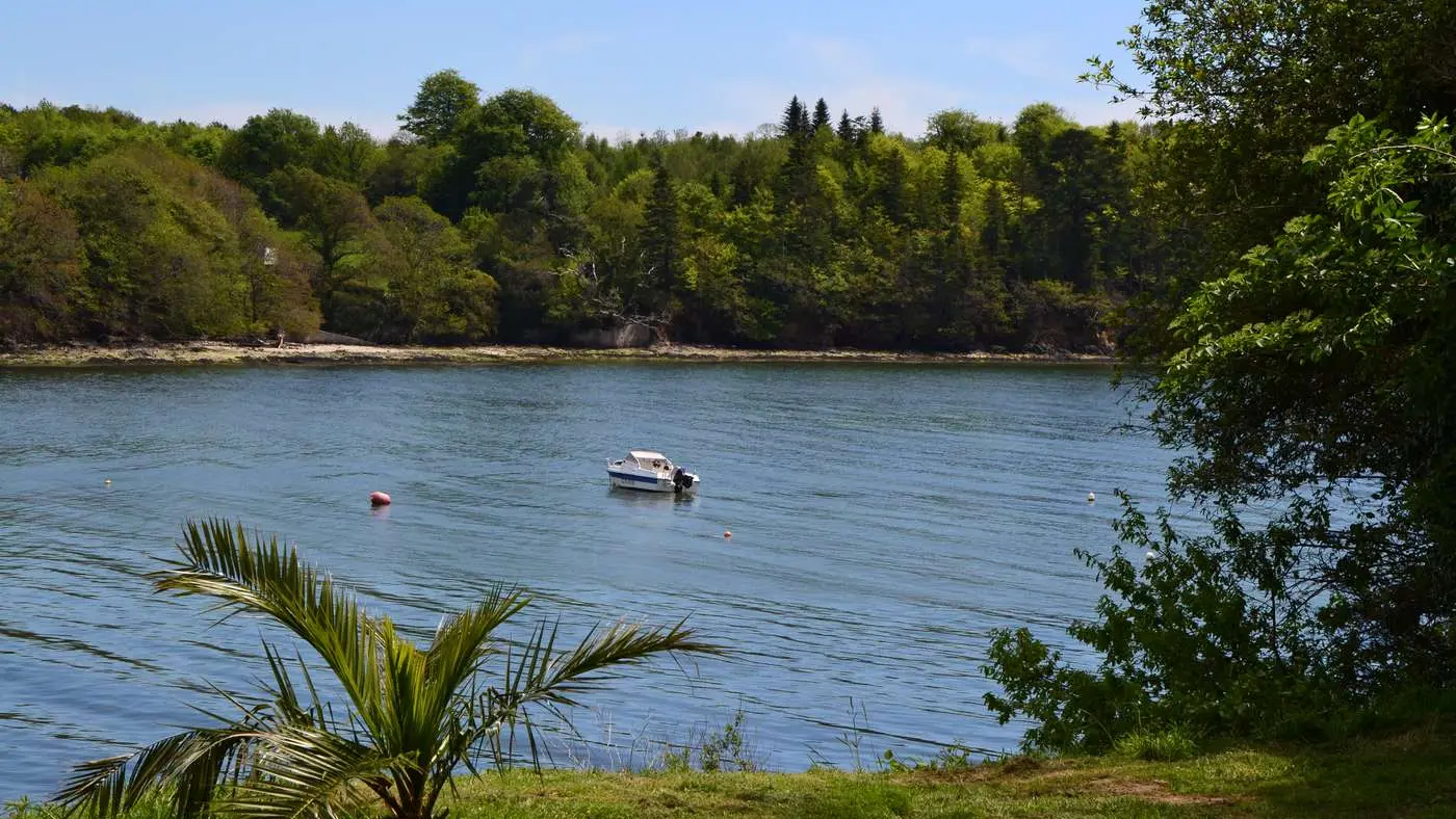 Crique Saint-Laurent