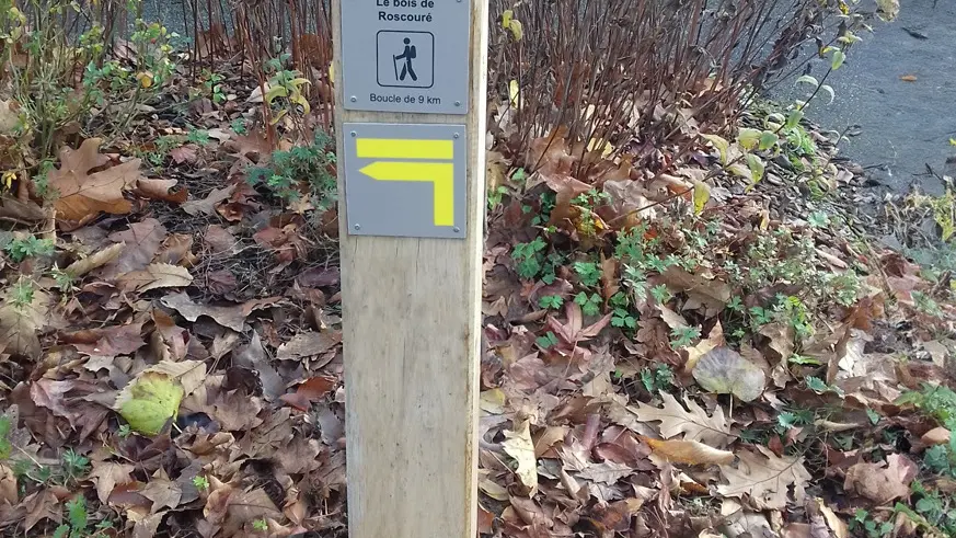 Rando Le Bois de Roscouré - Combrit - Pays Bigouden