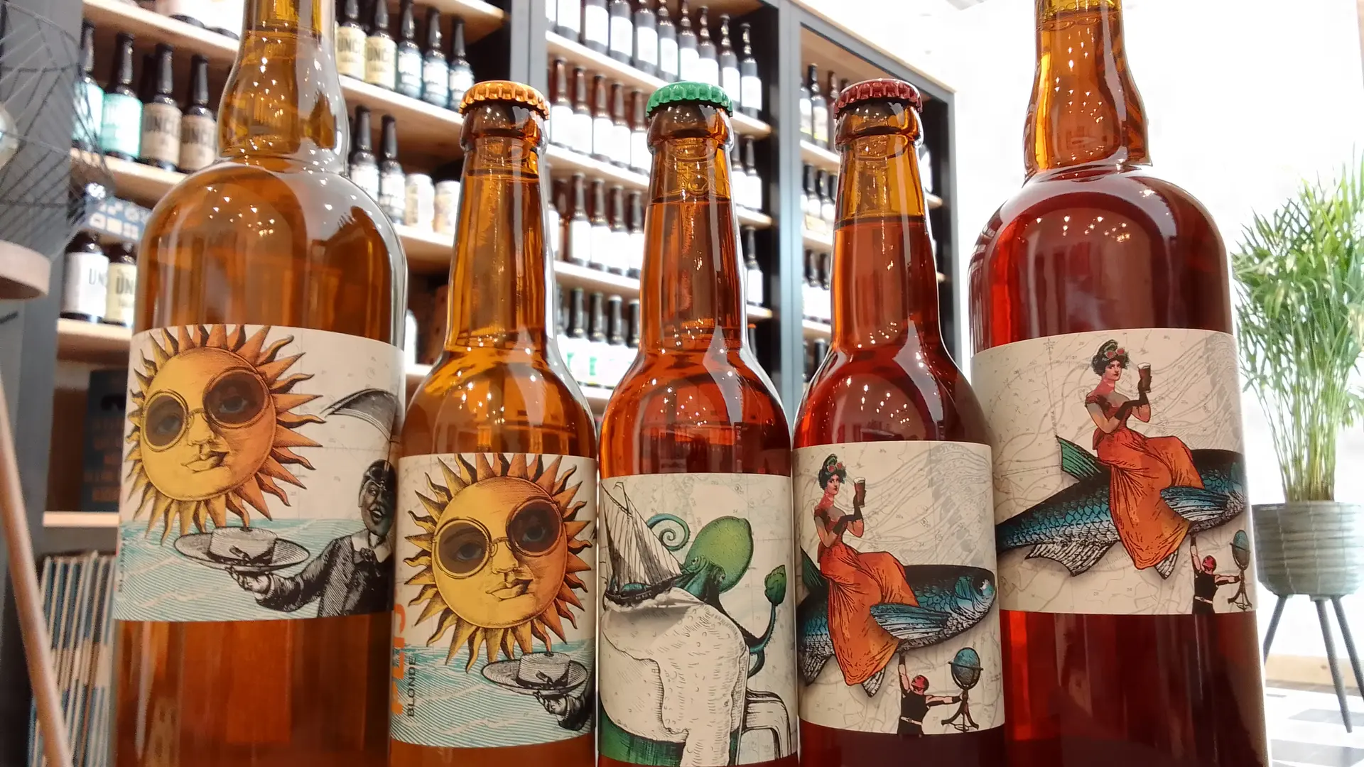 Brasserie douarneniste Plijadur