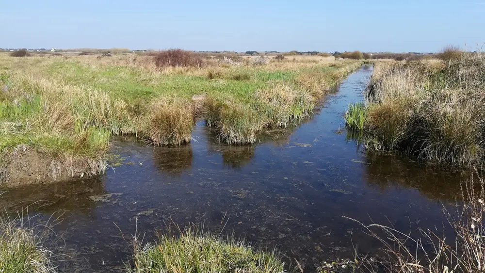 Rando les marais de Lescors - Plomeur - Pays Bigouden
