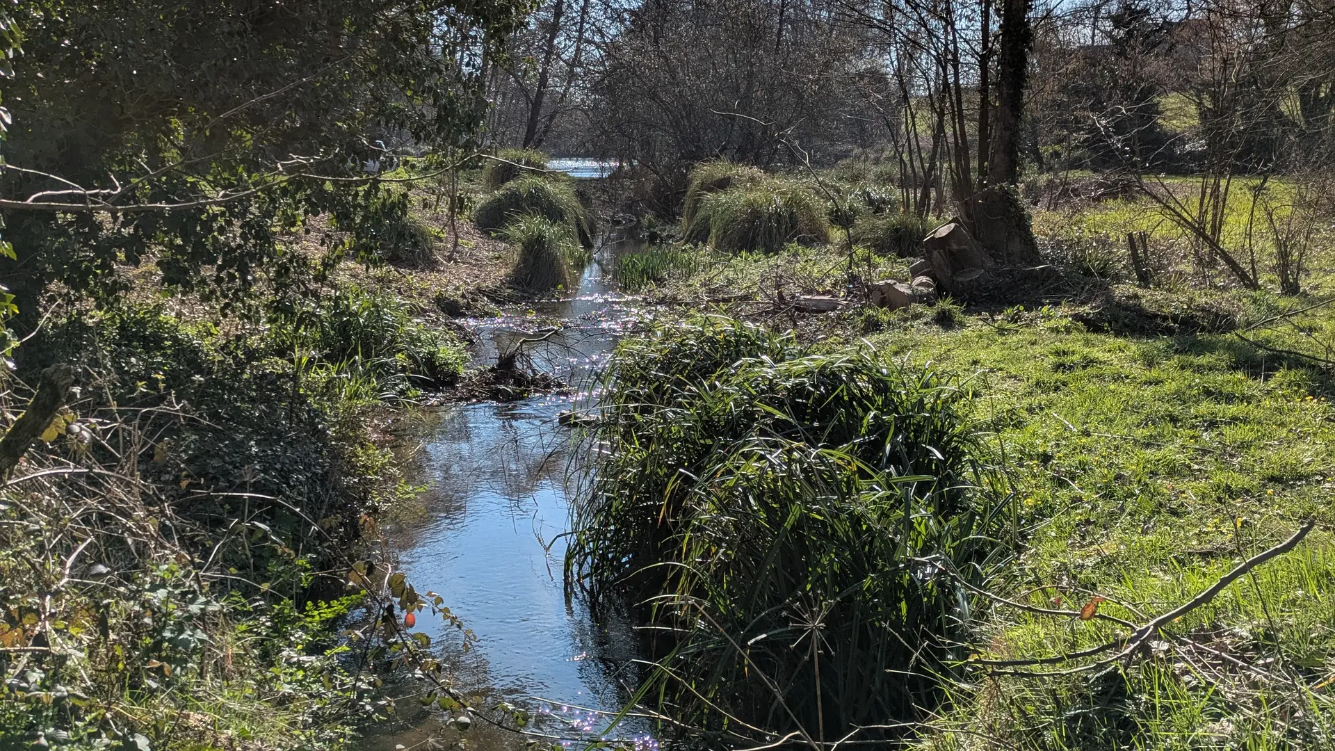 ruisseau amont étang Milin Saezh
