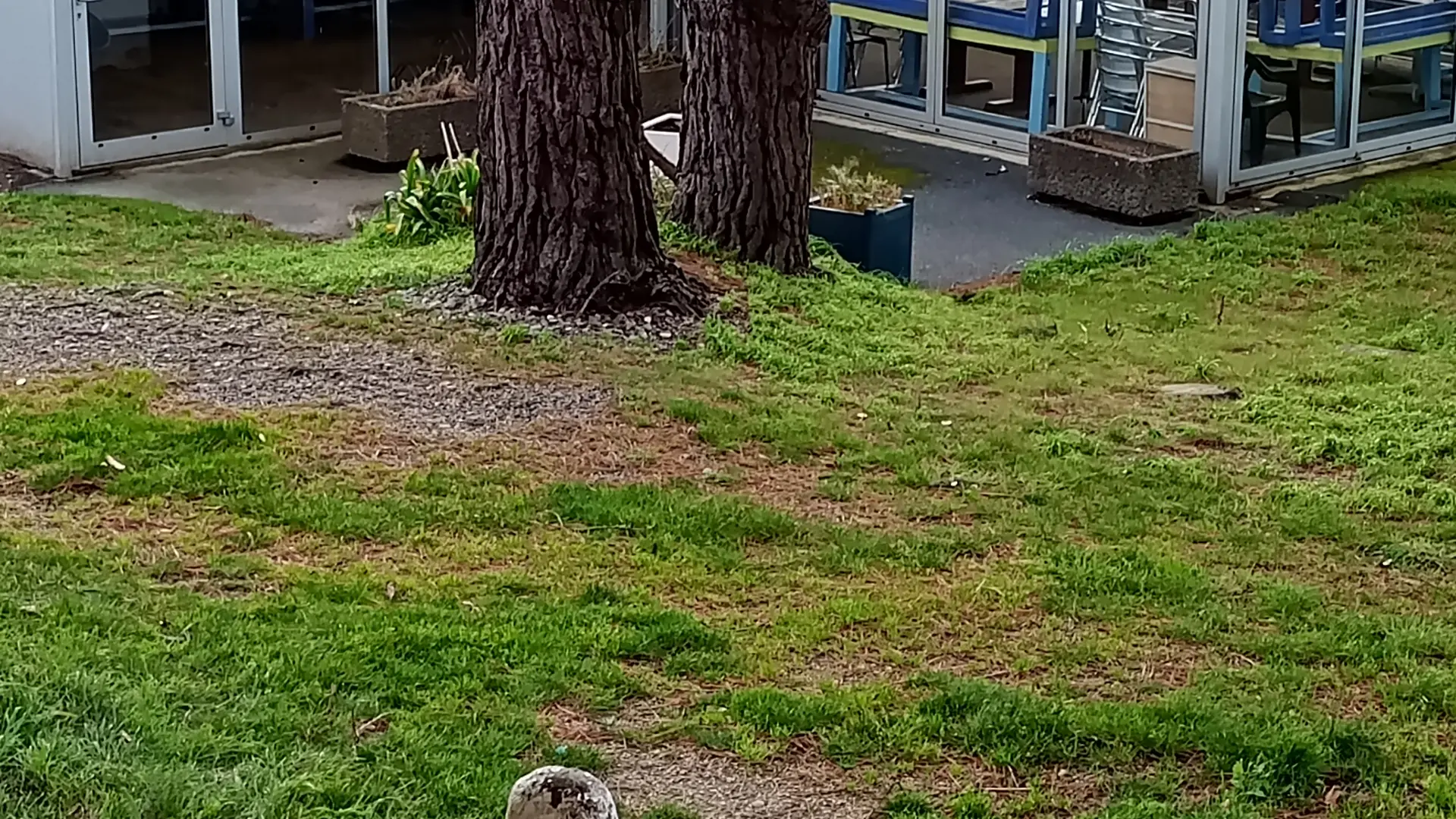 Auberge Granit Rose - salle d'activité