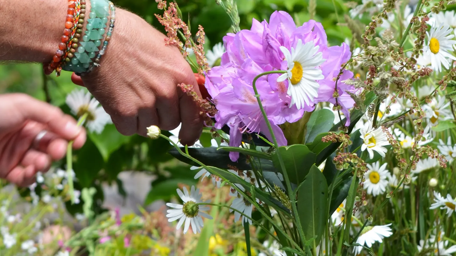 Fleurs