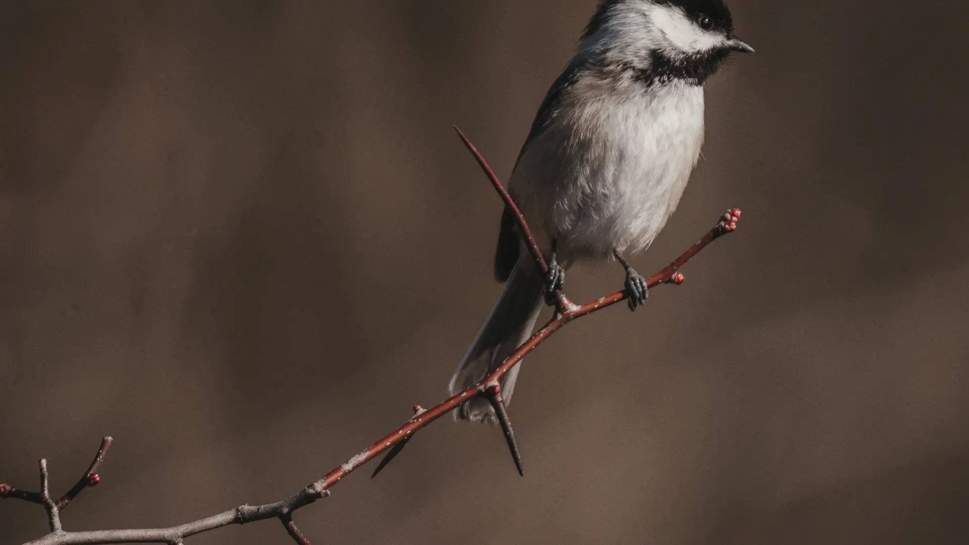 Sortie nature - Les Vergers de Kermao