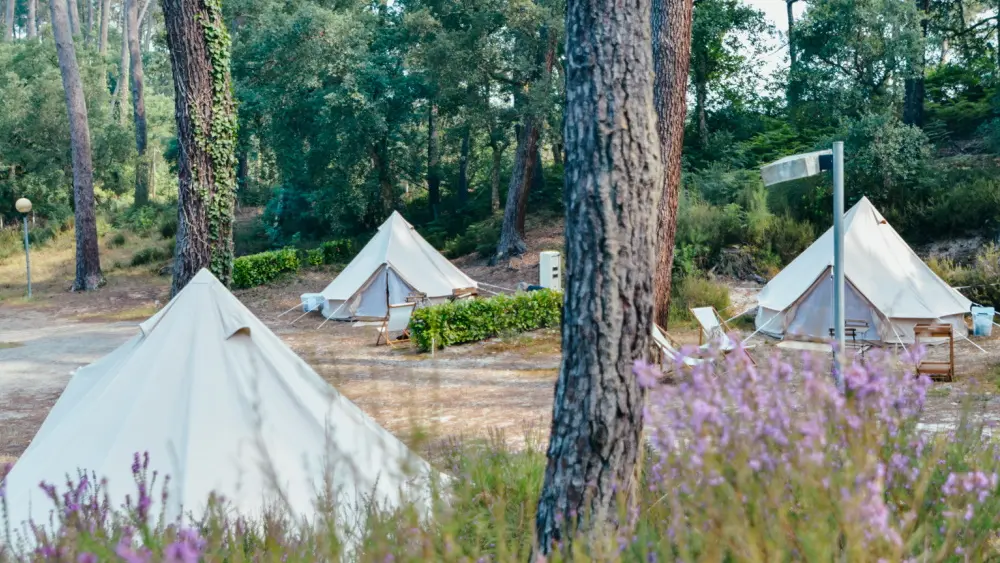 Cocooning Tipi 2022