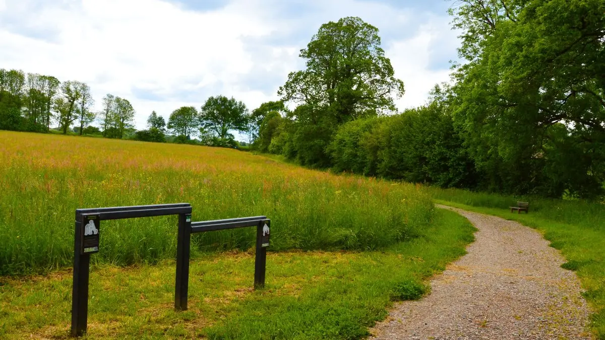 Parcours de santé - Châlus