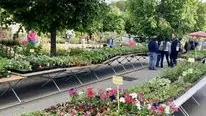 Marché aux fleurs Eymoutiers