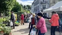Marché aux fleurs Eymoutiers