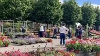 Marché aux fleurs Eymoutiers