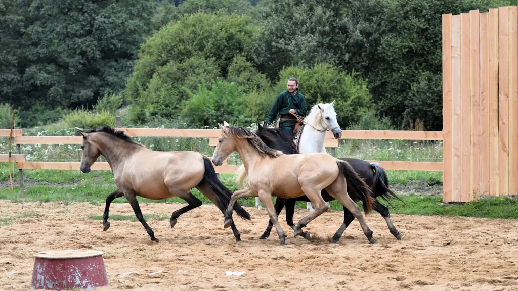 Caval'Unchi