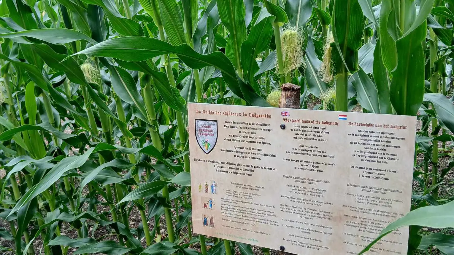 Périgord Inattendu - Labyrinthe de mais à Vendoire
