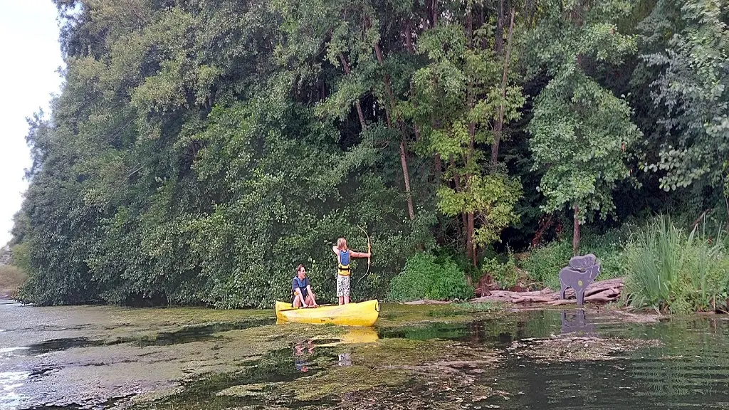 Le Bel Oiseau tir à l'arc