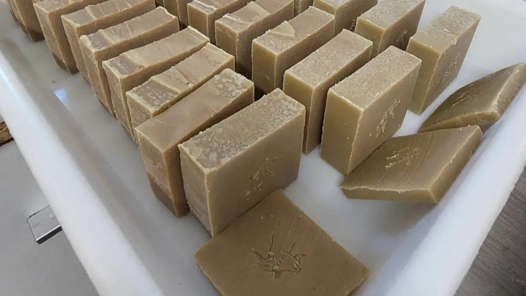 2026 La chèvre se savonne Douchapt (1)