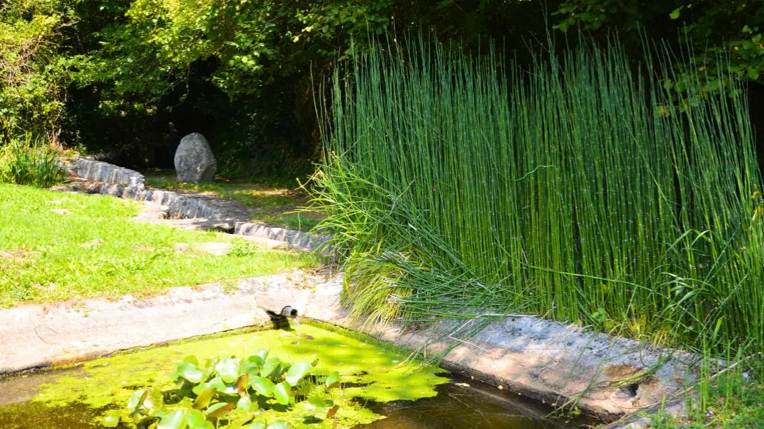 Fontaine du Vieux Saint-Hilaire