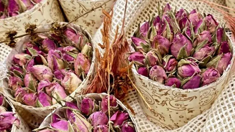 5-Savonnia-Roses_boutique-Dordogne-Bergerac