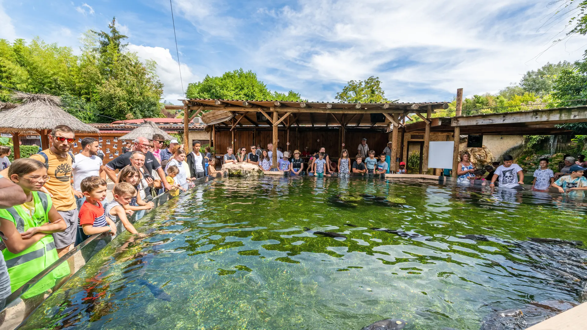 5. Animation grand bassin tactile nourrissage carpes