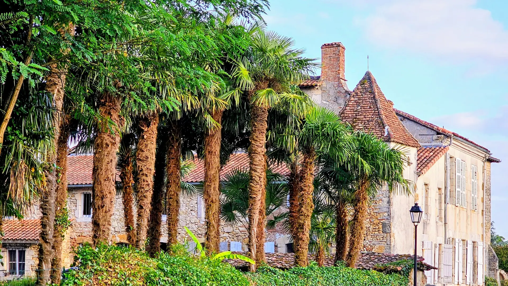 LA PALMERAIE 2025 ©Campana