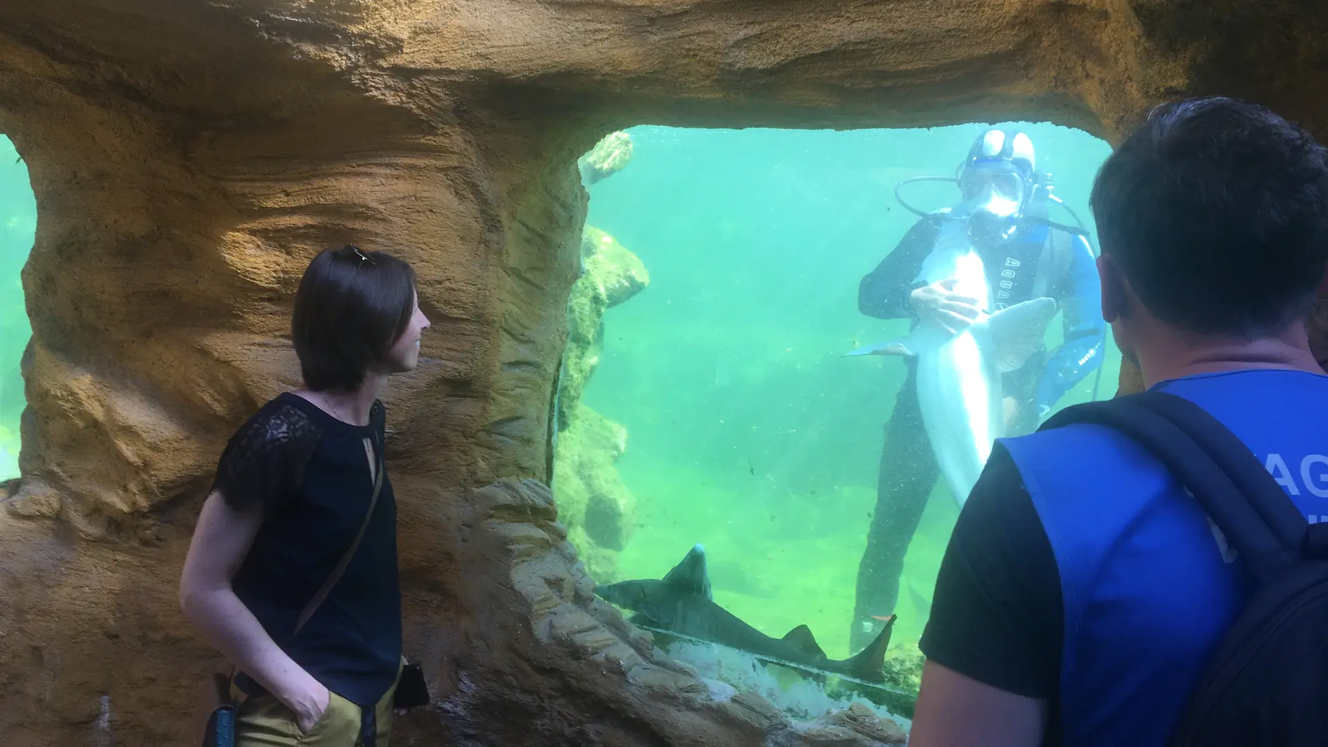 7 Animation plongeur