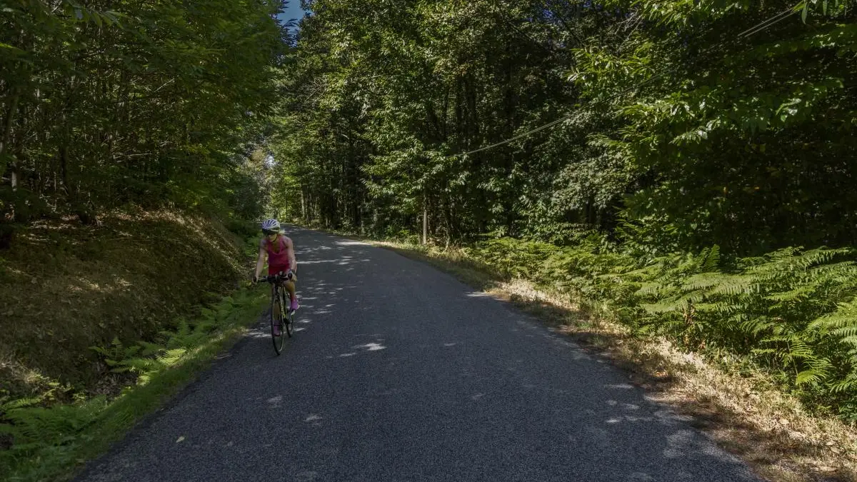 Gite La Thibarderie à Magnac Laval en Haute-Vienne (Limousin en Nouvelle Aquitaine)- Petite route près de La Thibarderie_27