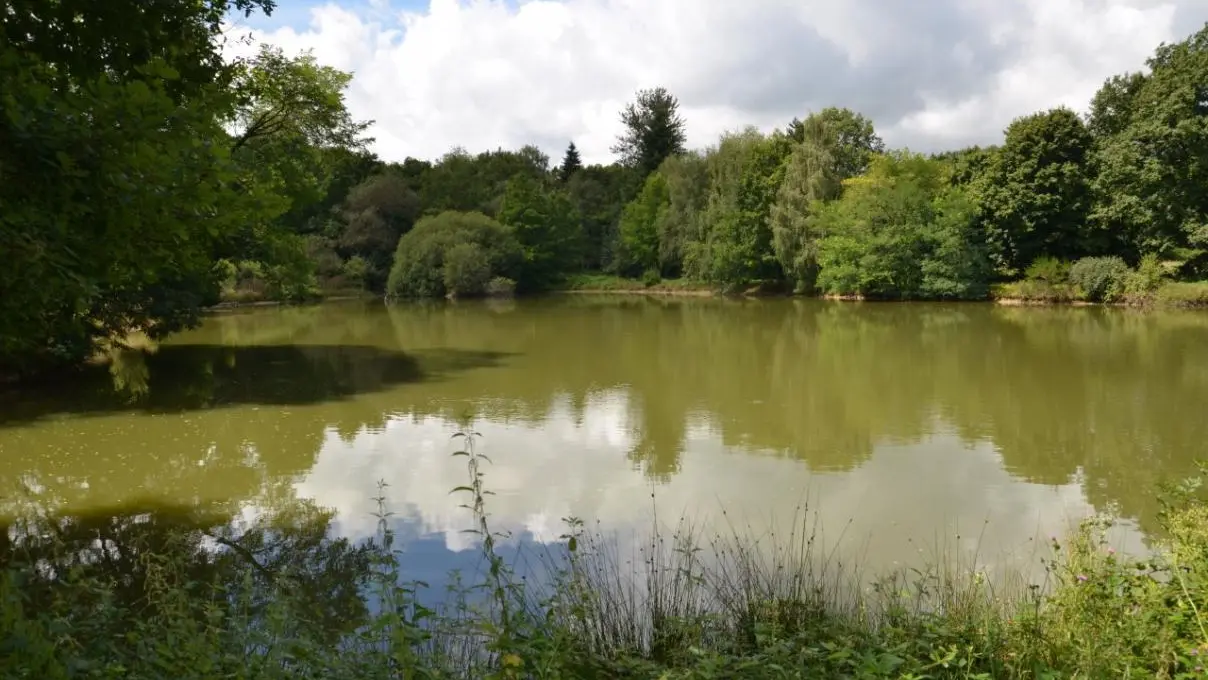 Gîte de La Faye à Compreignac en Haute-Vienne (Limousin en Nouvelle Aquitaine) - L'étang_24