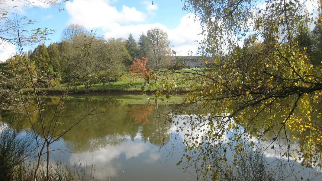 Gîte de La Faye à Compreignac en Haute-Vienne (Limousin en Nouvelle Aquitaine) - L'étang_23