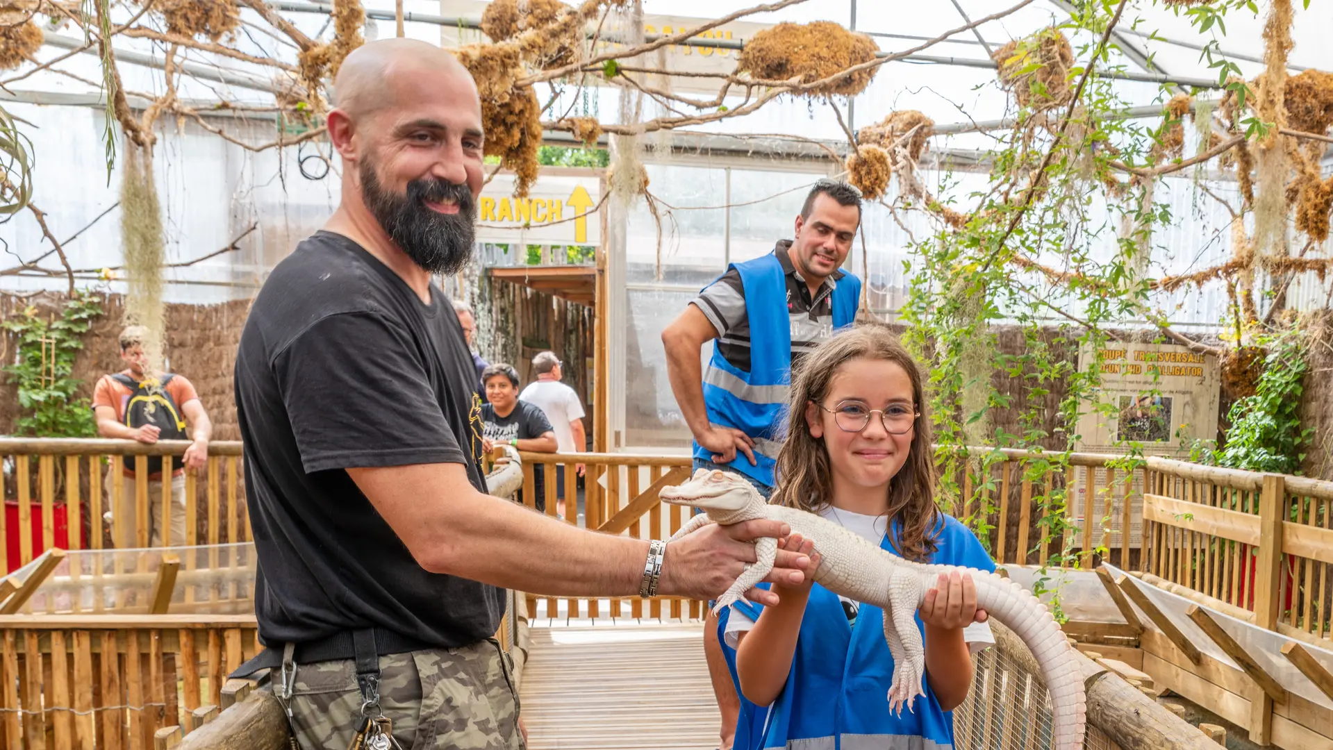 9. animation nourrissage bb alligator albinos