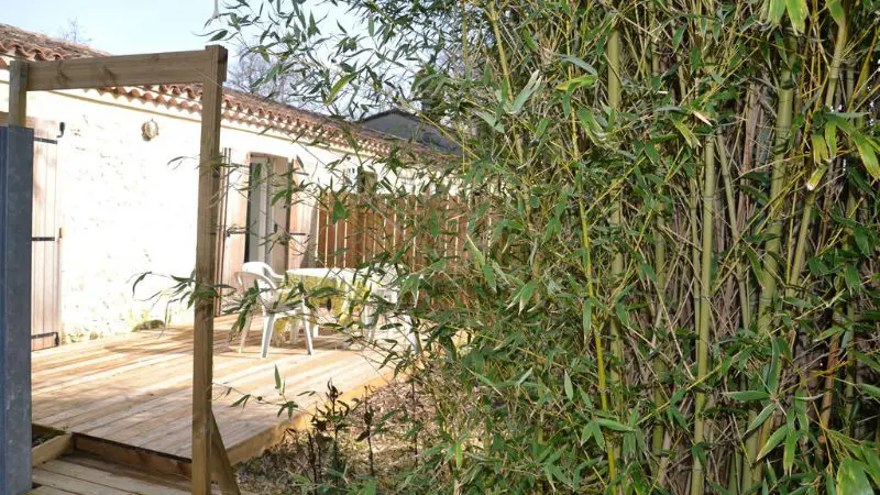 Vue du jardin