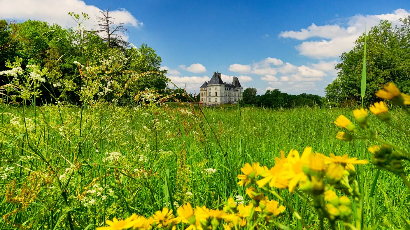 Château de Fayolle