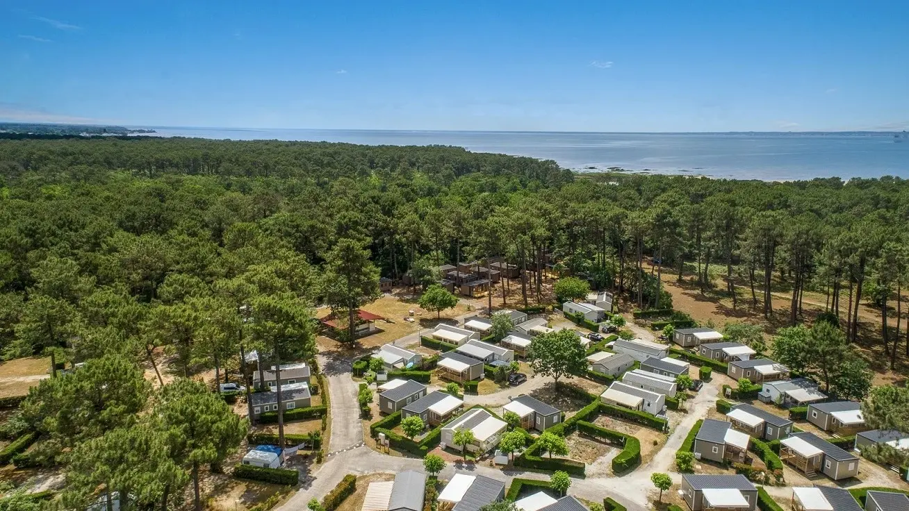 ©Les goélands - vue aérienne