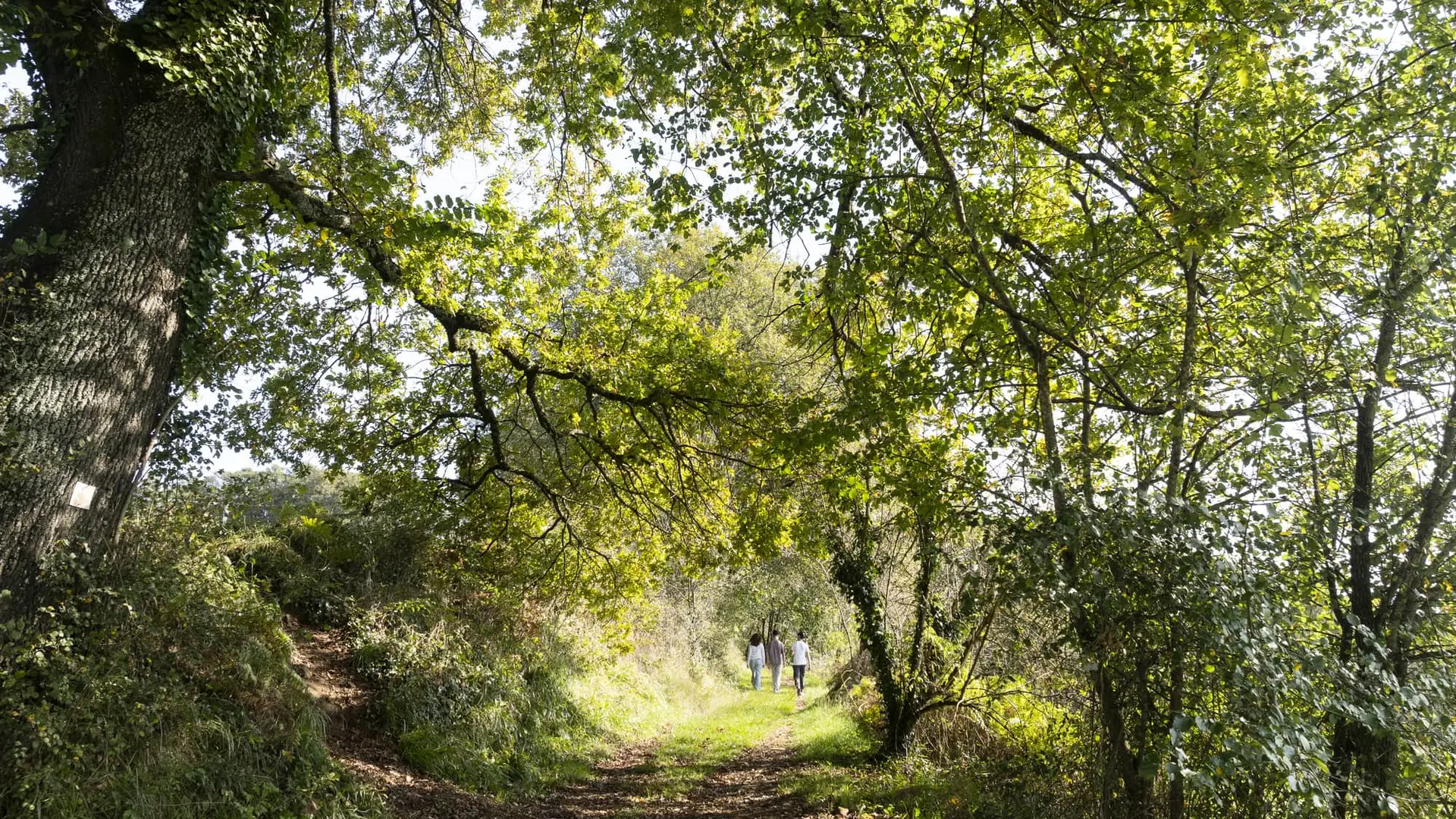 02-Automne-Audrix-TA-InstapadesStudio-0197-2000px_Oct 2024