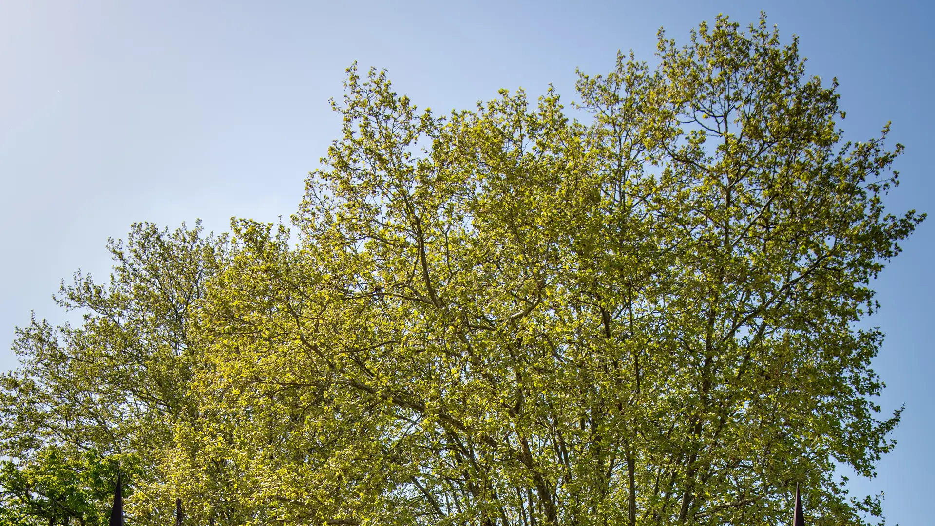 0363_marquisdeterme_artiste-associe_photographes_bordeaux_19042022