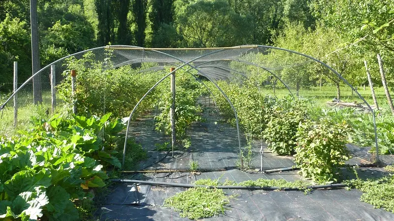 Jardin et verger