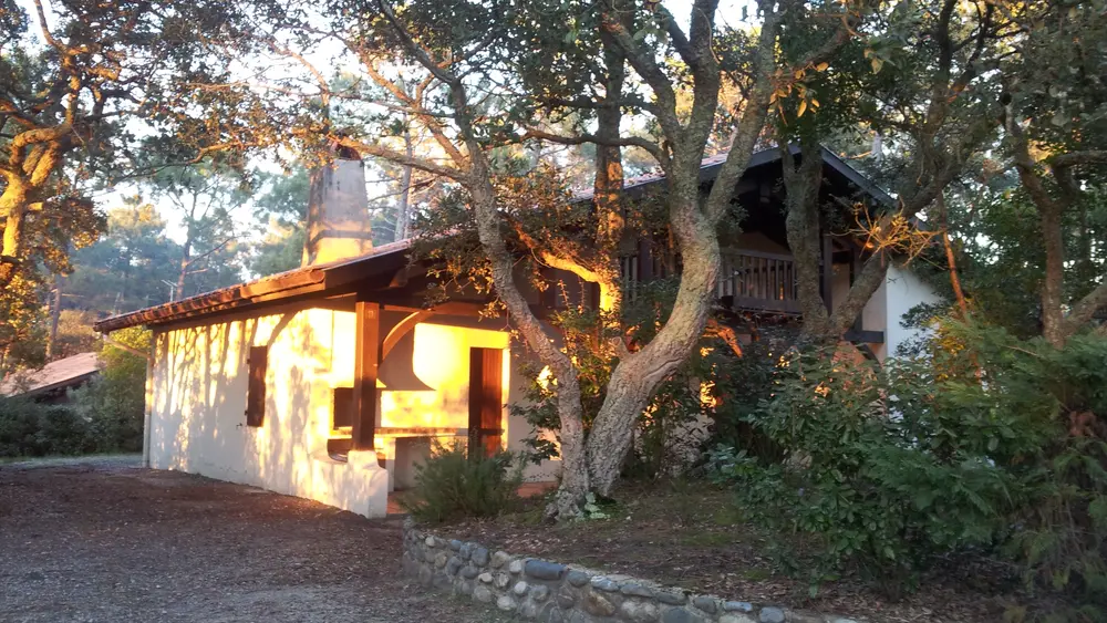 Location Triadu A.