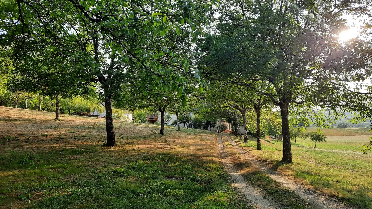 1 ENTREE DOMAINE BORIA 3 2