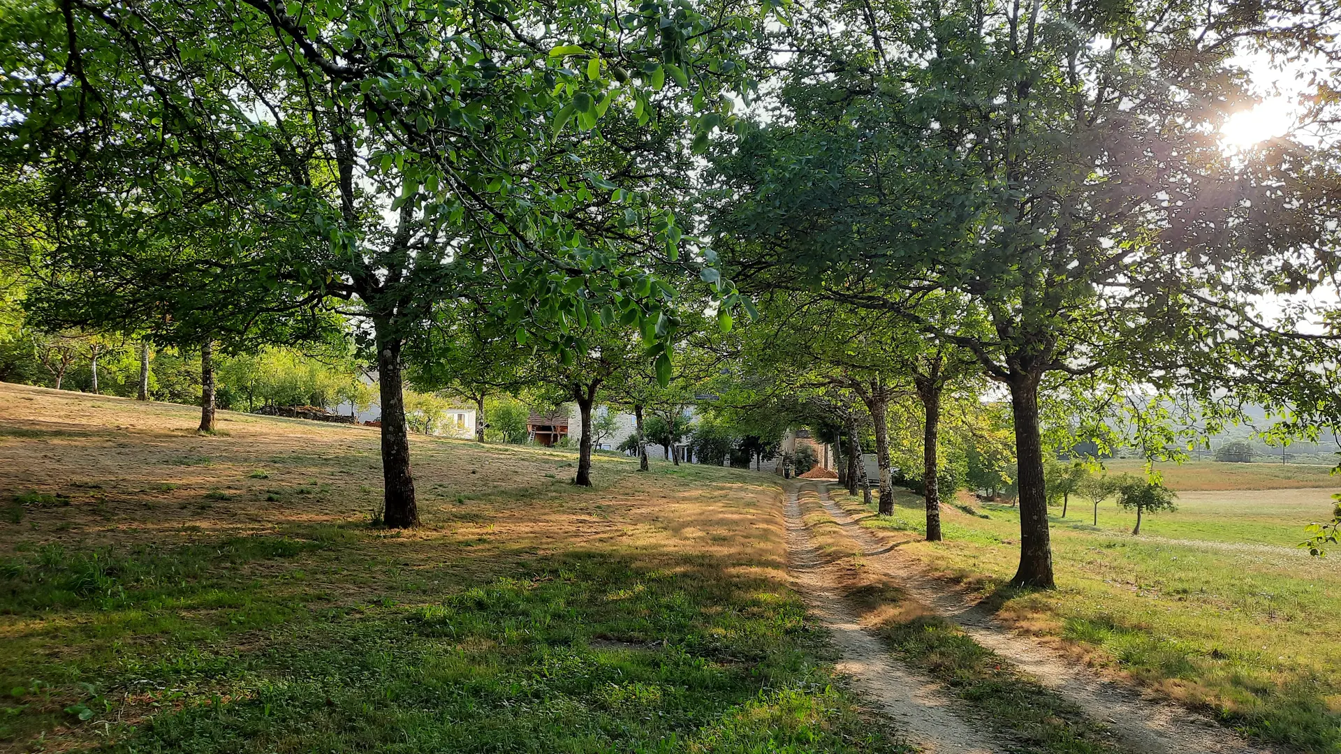 1 ENTREE DOMAINE BORIA pour brochure